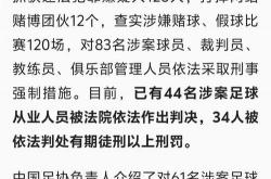 开云体育官网登录入口-足球裁判因判罚失误受到批评，被要求道歉