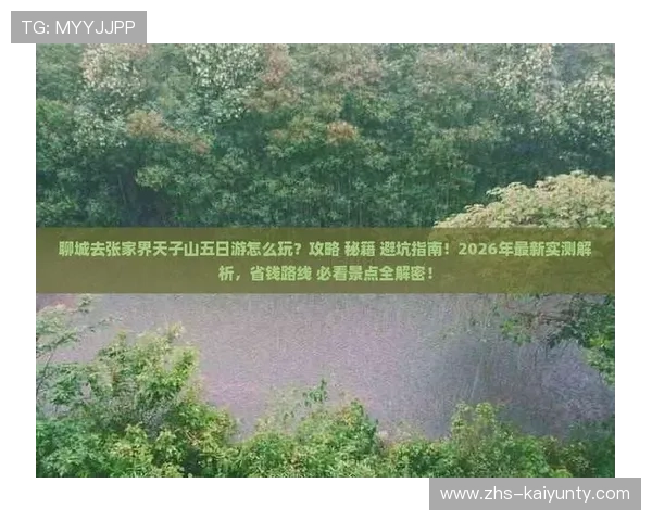 玩球大小分怎么买避坑指南极速提现秘籍