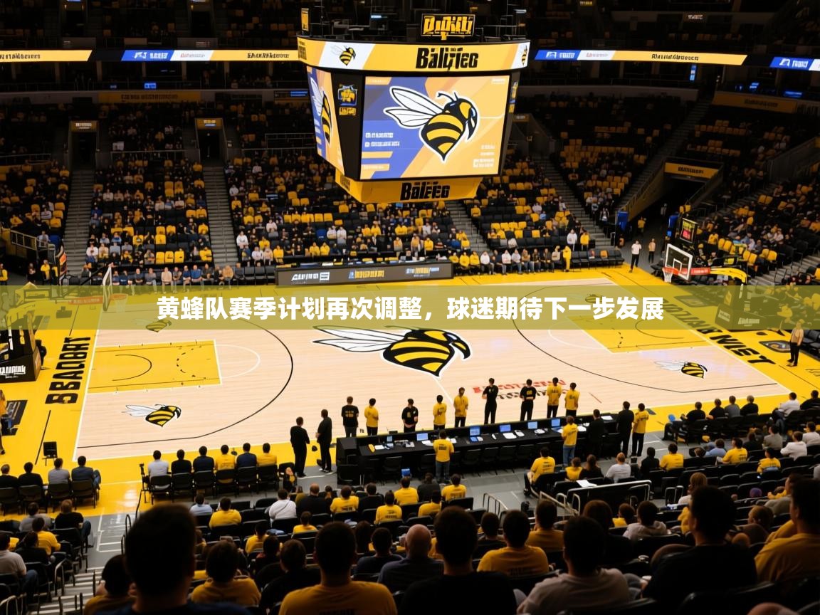 2025kaiyun体育在线登录黄蜂队赛季计划再次调整，球迷期待下一步发展  第3张