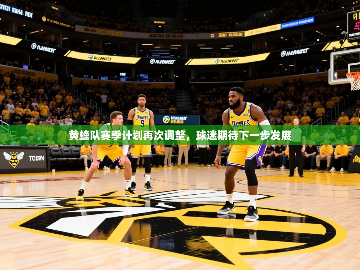 2025kaiyun体育在线登录黄蜂队赛季计划再次调整，球迷期待下一步发展  第4张