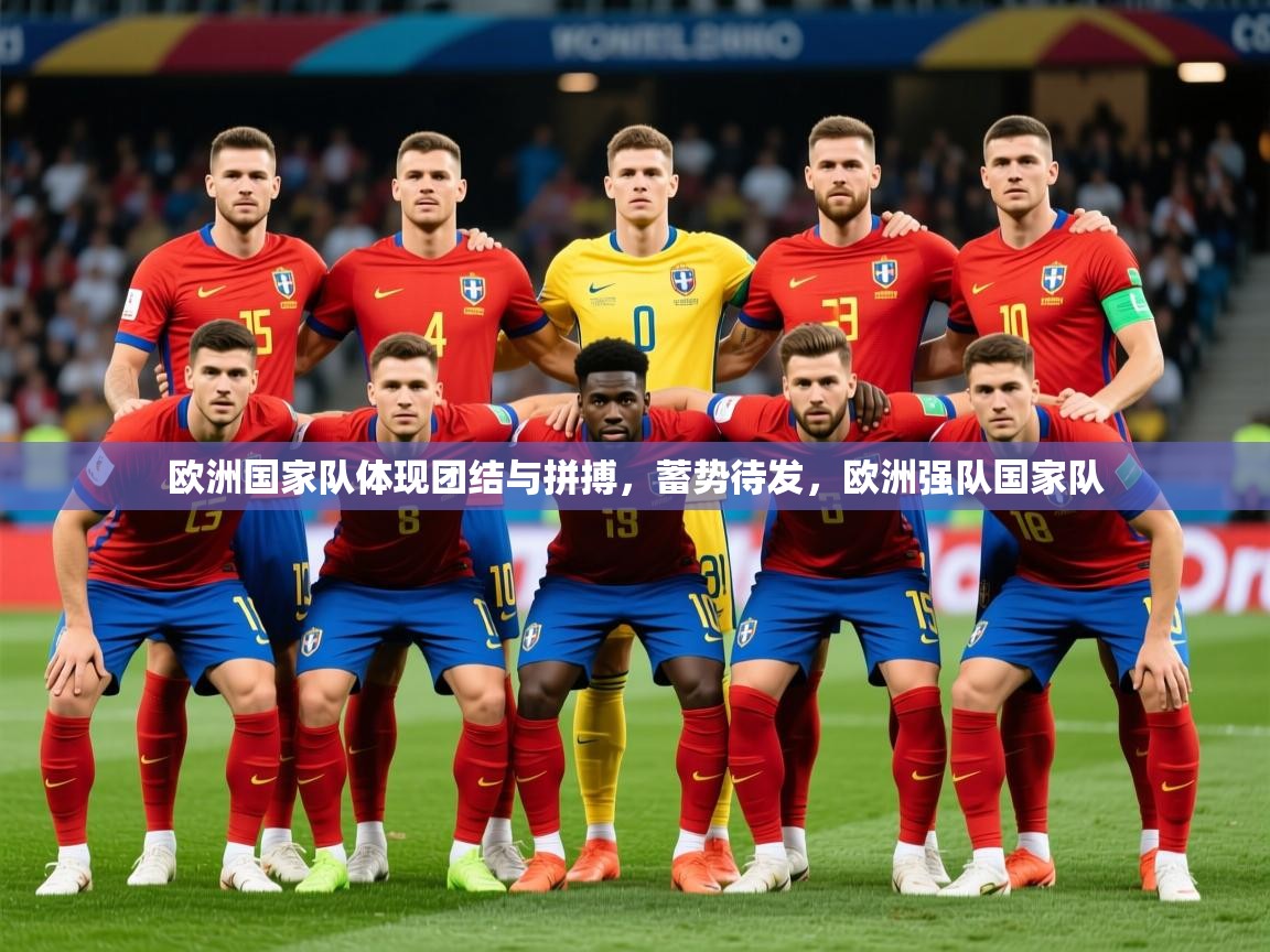 2025kaiyun体育在线官网登录入口欧洲国家队体现团结与拼搏，蓄势待发，欧洲强队国家队  第4张